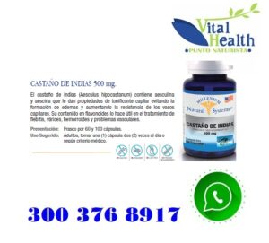 Castaño De Indias 500 mg X 100 Capsulas