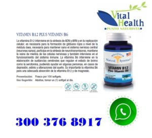 Vitamina B 12 Con Vitamina B 6 X 100 Capsulas Blandas